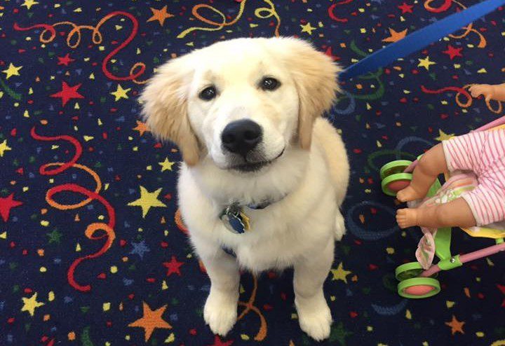 Toys, Games and Gifts!